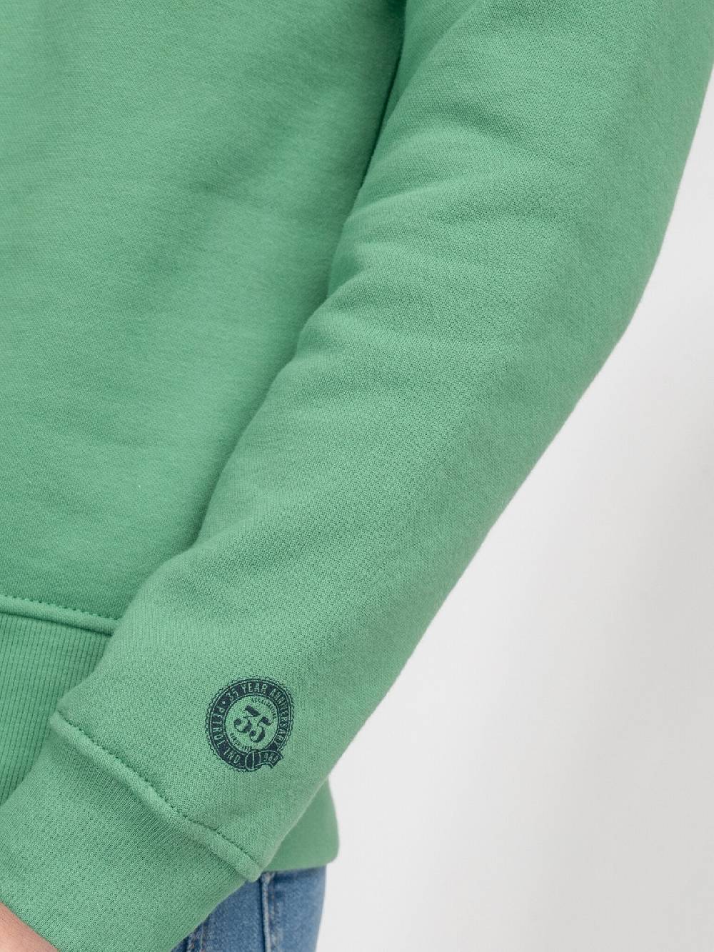 Petrol M-3040-SWR363 Men Sweater Round Neck Print (6167 Wasabi) Limitierter Zeitrabatt