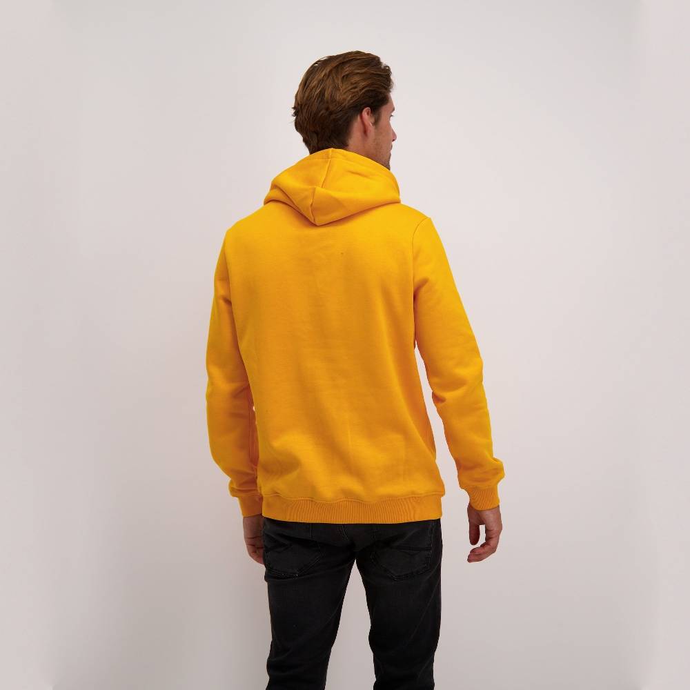 Cars Jeans KIMAR HOOD SW OCRE Verkauf