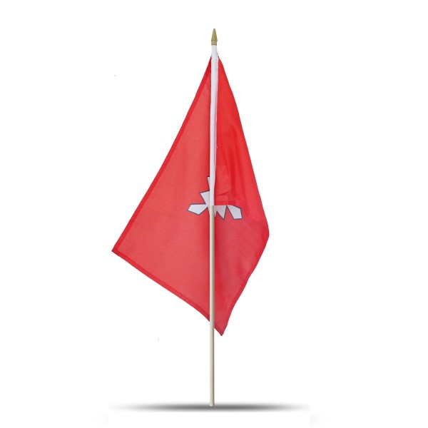 Sonia Originelli 10er Set Fahne Flagge Winkfahne "Kiel" Handfahne Räumungsverkauf