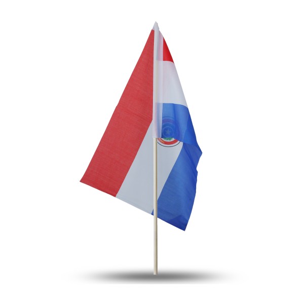 Sonia Originelli 10er Set Fahne Flagge Winkfahne "Paraguay" Handfahne EM WM JETZT KAUFEN