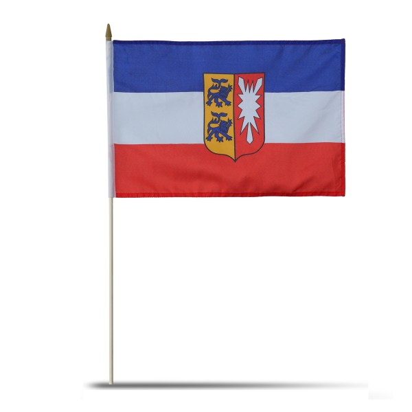 Sonia Originelli 10er Set Fahne Flagge Winkfahne "Schleswig-Holstein" Handfahne EM WM im Angebot