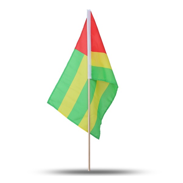 Sonia Originelli 10er Set Fahne Flagge Winkfahne "Togo" Handfahne EM WM Sonderangebot